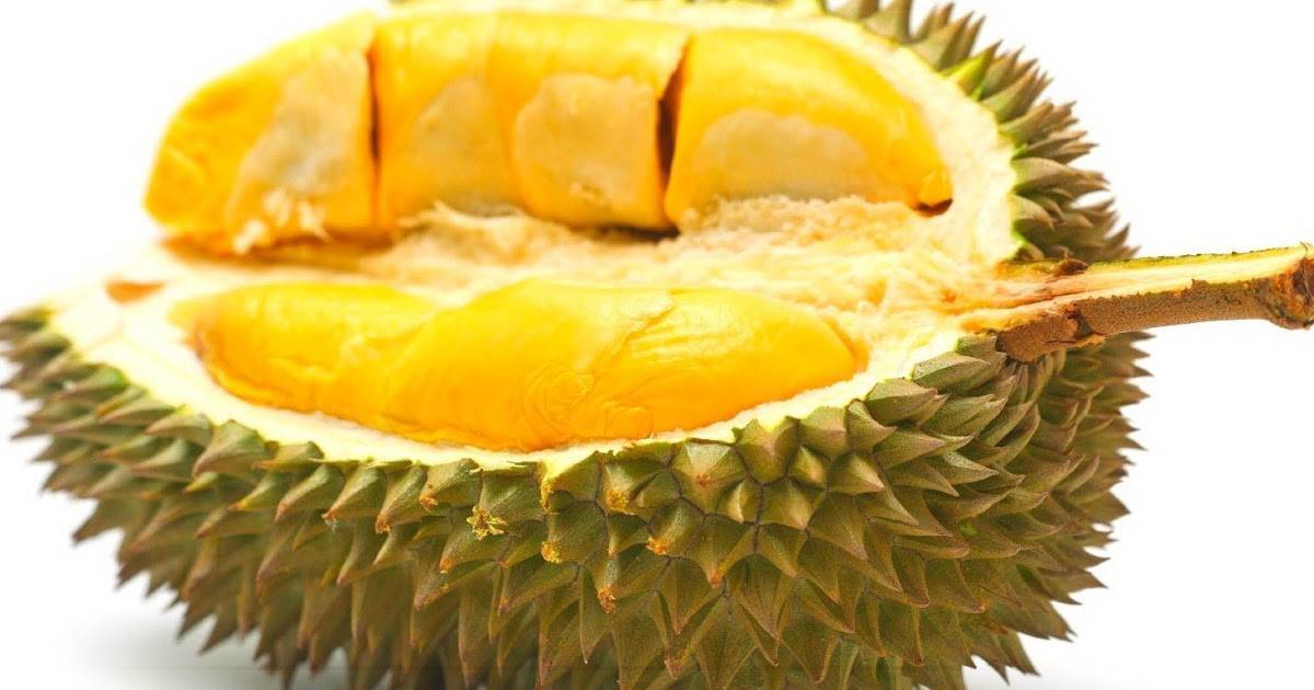 Фрукт дуриан: раскроем все тайны связанные с фруктом дуриан