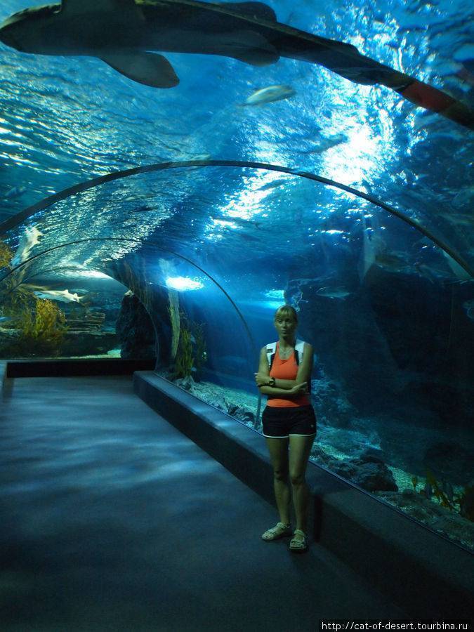 Океанариум на пхукете (новый) (aquaria phuket thailand)