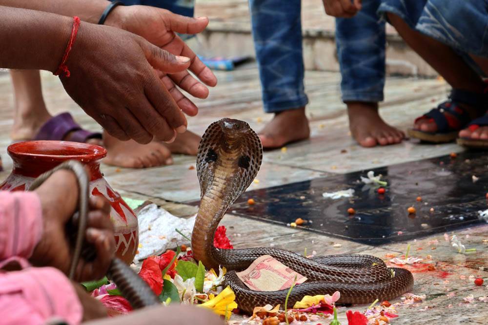 Фестиваль онам в индии: праздник во славу великого царя