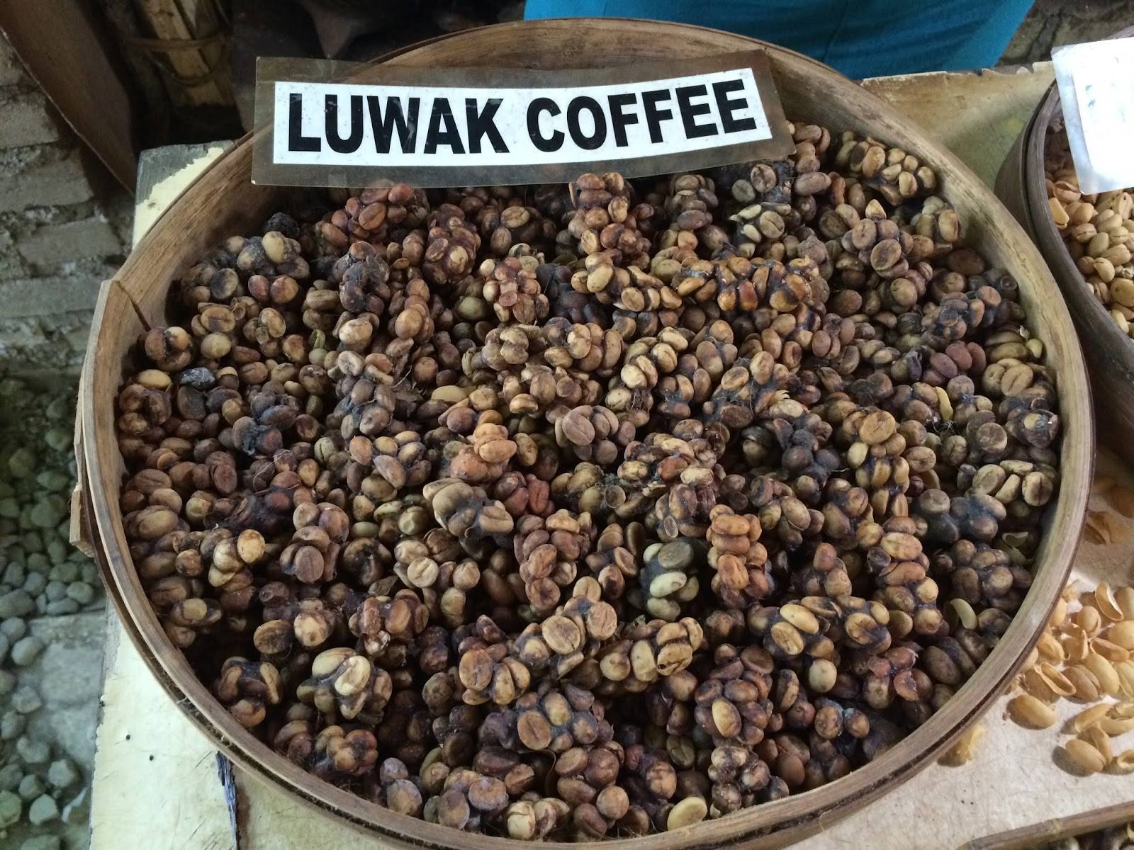 Копи Лювак - самый дорогой кофе в мире с острова Бали