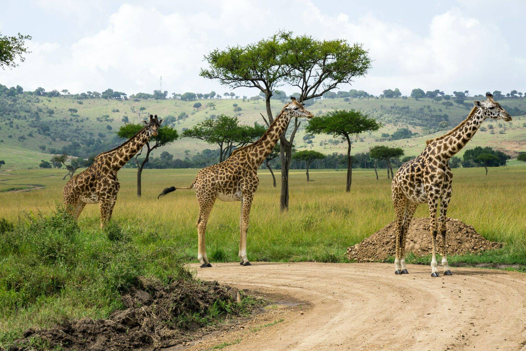 кения парки
