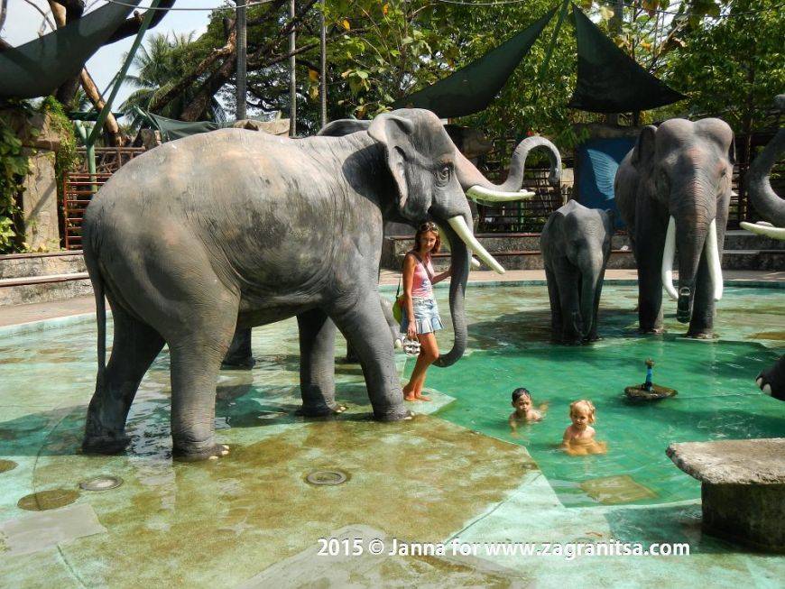 Зоопарк dusit zoo в бангкоке — что интересного и стоит ли идти с ребенком
