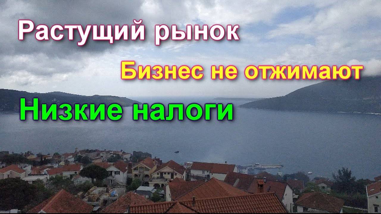 Как зарегистрировать фирму в черногории в 2023 году