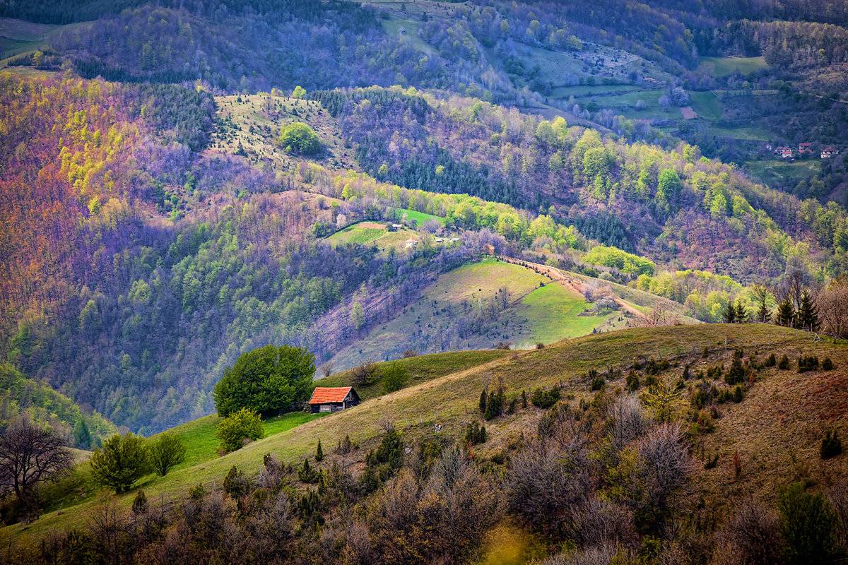 Сербия Белград природа