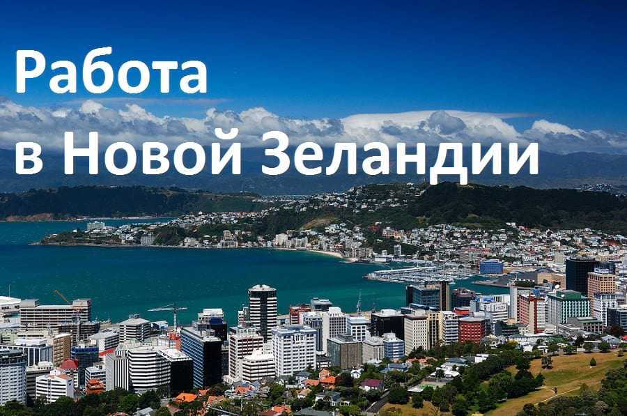 Иммиграция в новую зеландию в 2023 году – доступные способы