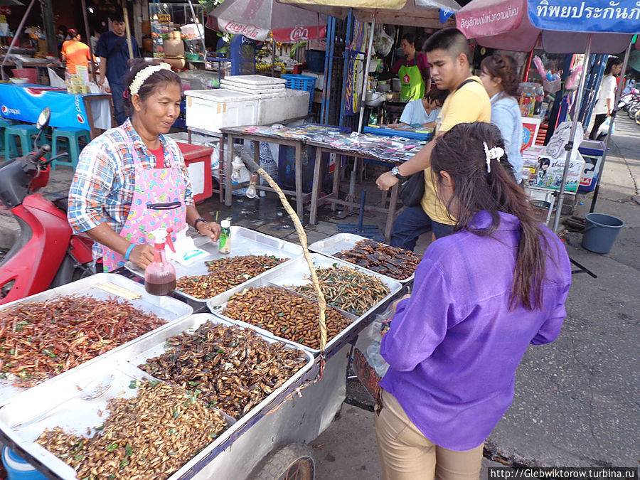 Парк и рынок чатучак в бангкоке  | послероссийская жизнь в азии