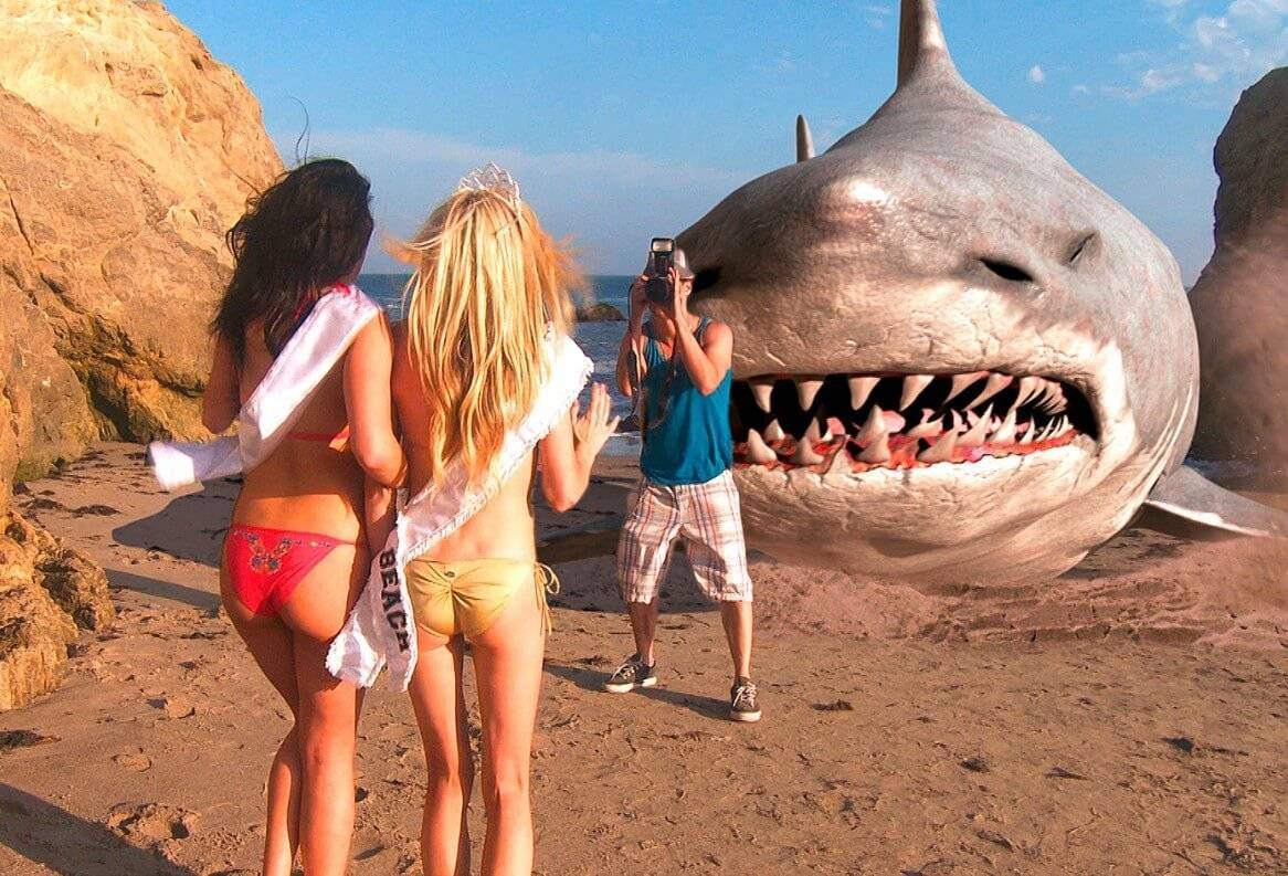 Акулы в турции: стоит ли опасаться хищников?