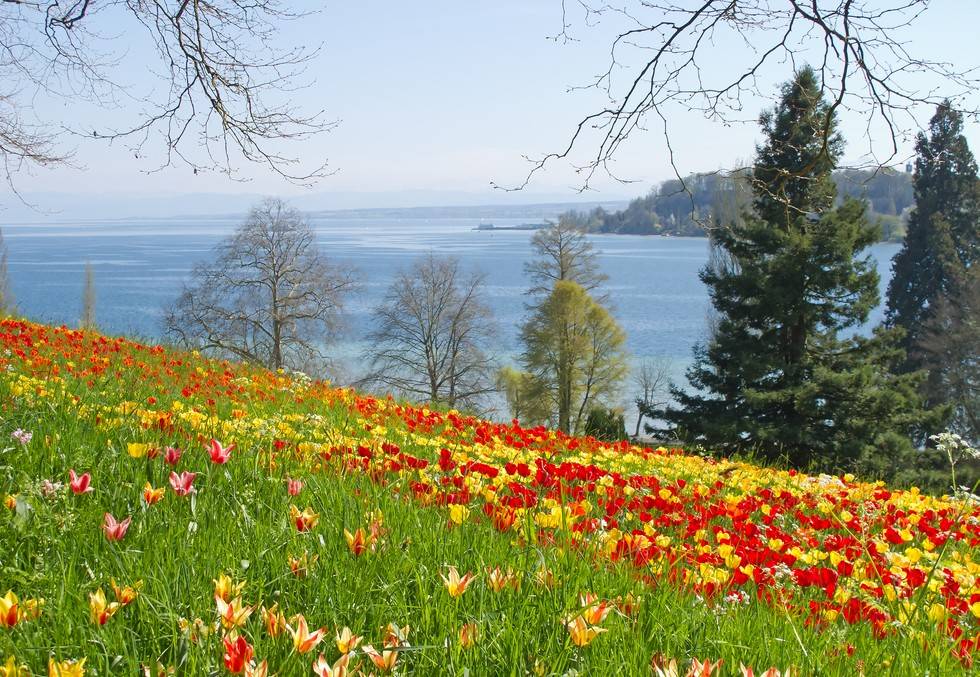 Остров цветов Майнау в Германии – самое романтичное место планеты