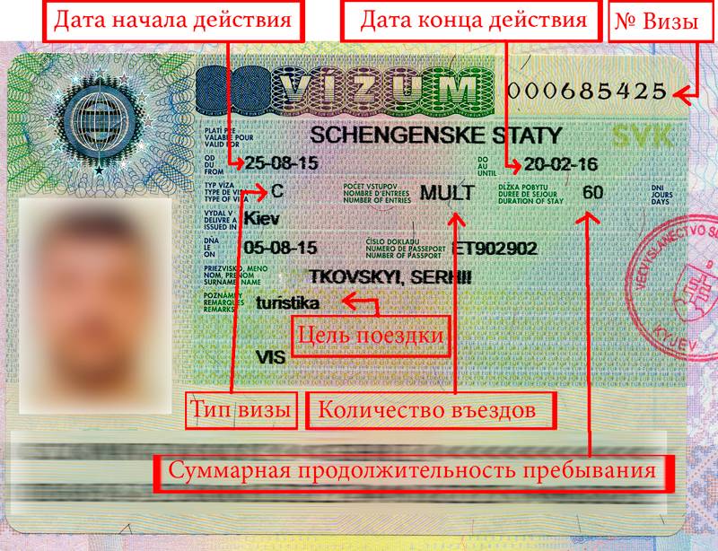 Сколько делается виза шенген? какие документы необходимы для получения? видео | 2023