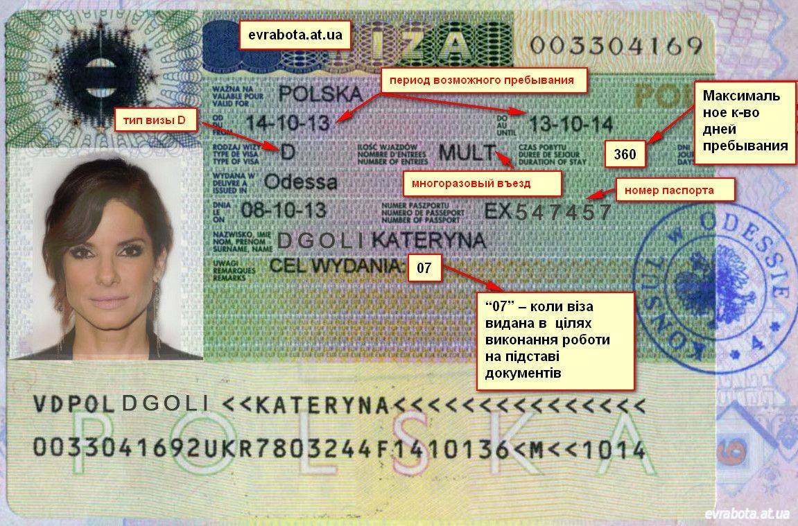 Требования к фотографии на шенген