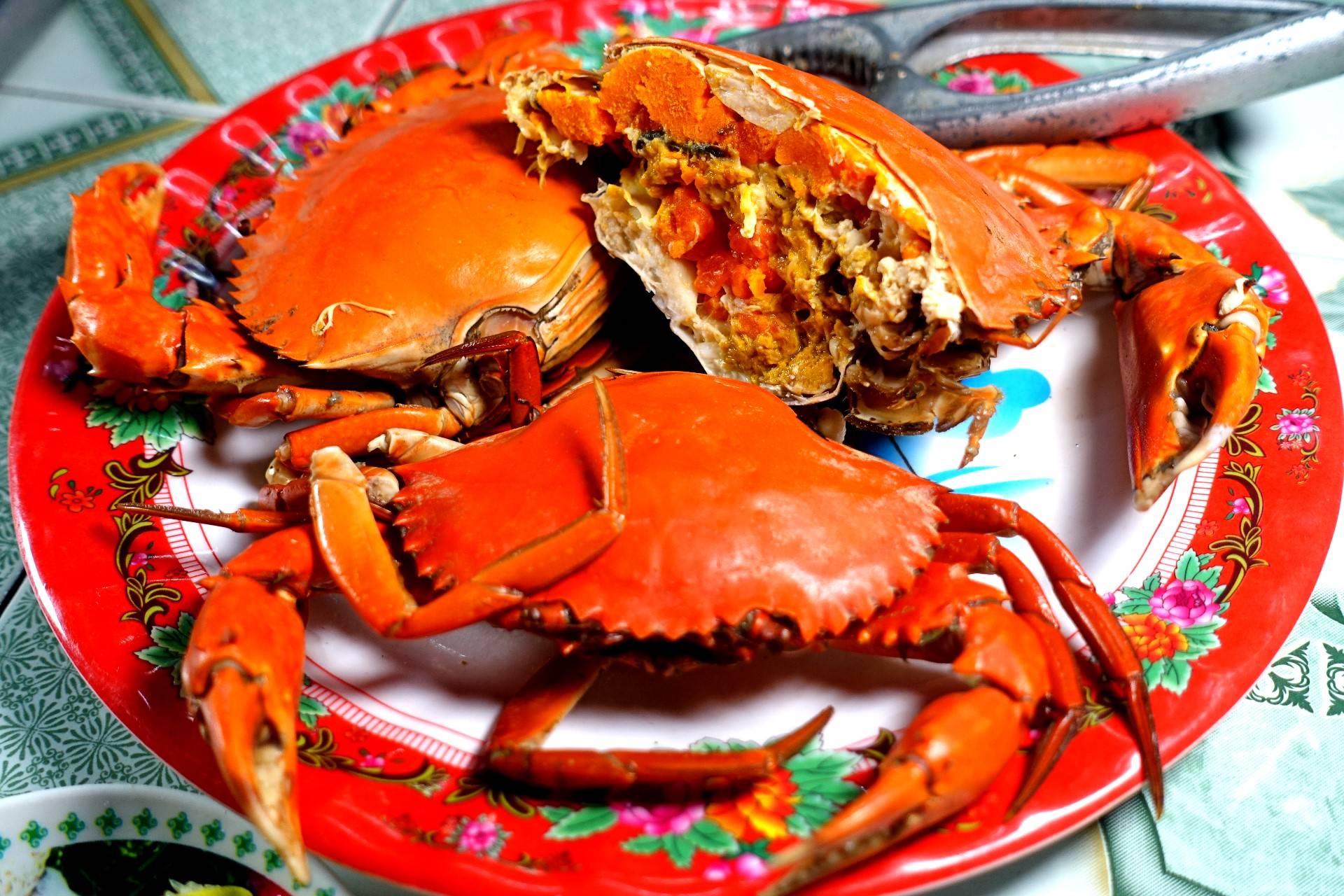 О чём следует знать любителям морских деликатесов: 7 самых полезных морепродуктов для организма человека