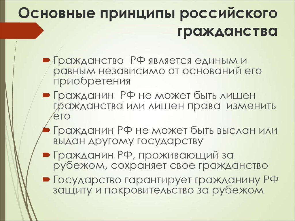 Система гражданства. Основные принципы гражданства РФ. Принципы российского гражданства таблица. Принцип российского гражданства РФ. Основные принципы гражданства РД.