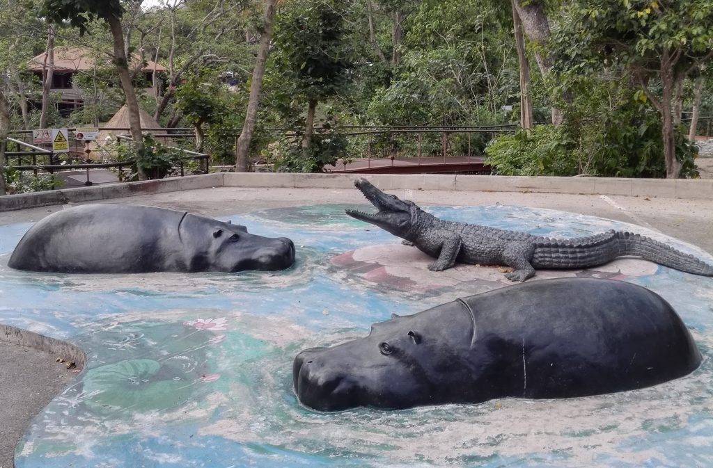 Зоопарк кхао кхео в паттайе - настоящее сафари с животными!
