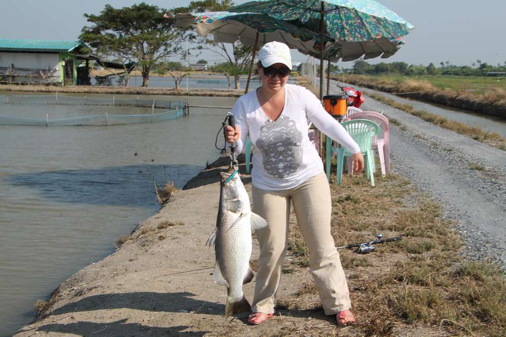 Рыбалка в таиланде на хищника. монстры тайских озёр и морских глубин