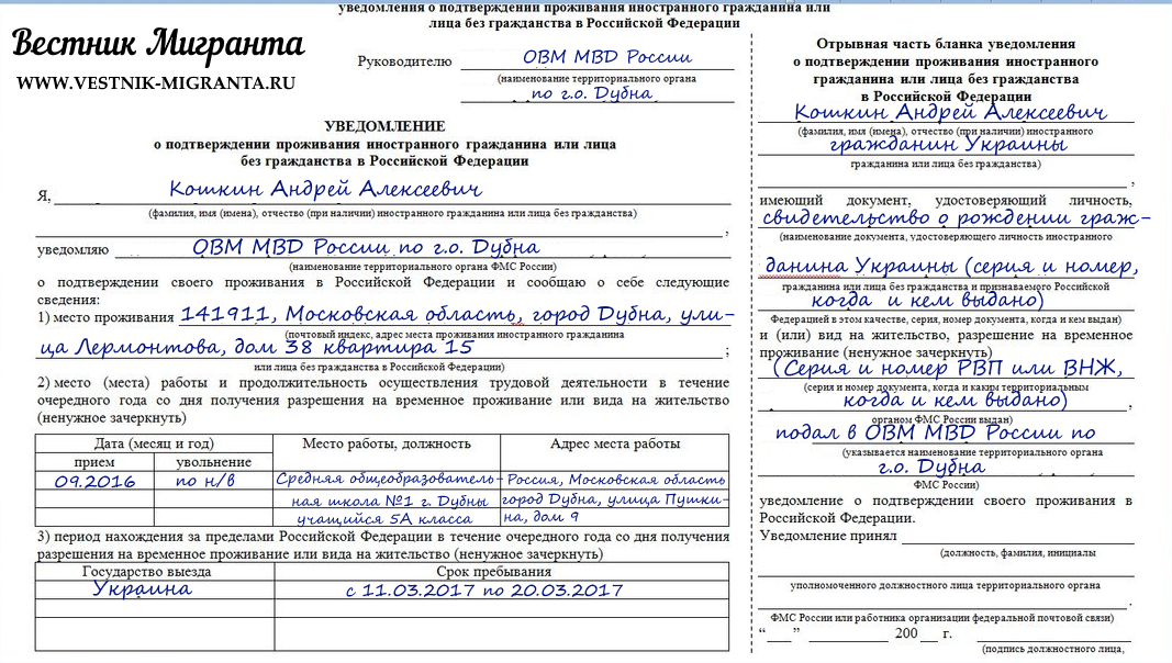 Уведомление о подтверждении проживания иностранного гражданина: бланк и образец заполнения