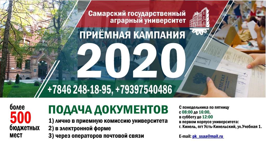 Что такое целевое обучение и как получить направление. | университет синергия