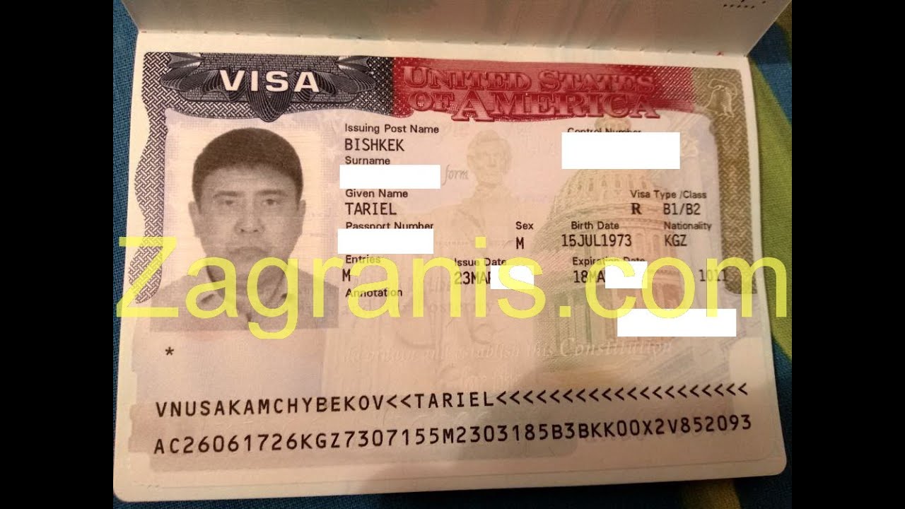 Виза киргиза. Виза Киргизия. Американская виза Кыргызстан. Виза для киргизов. Виза в США для киргизов.