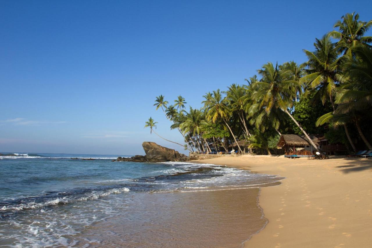Пляж унаватуна, шри-ланка - обзор: фото, отели с пляжем, отзывы