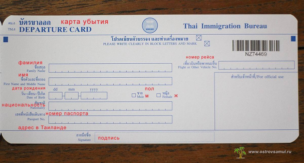 Как продлить визу в тайланде - site2max