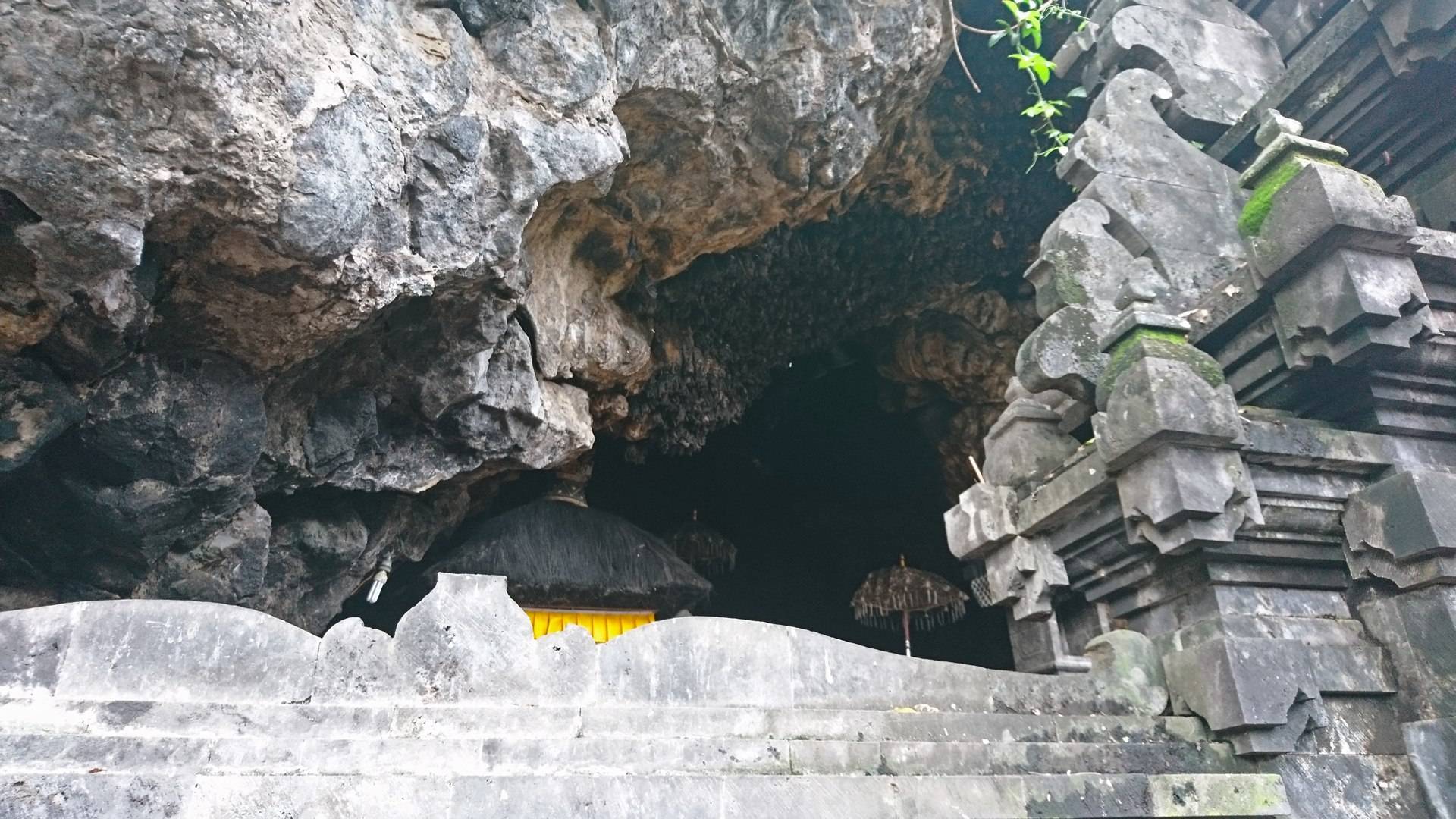 Пещера слона — изучаем детально