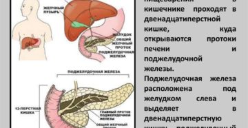 Лечение панкреатита в германии