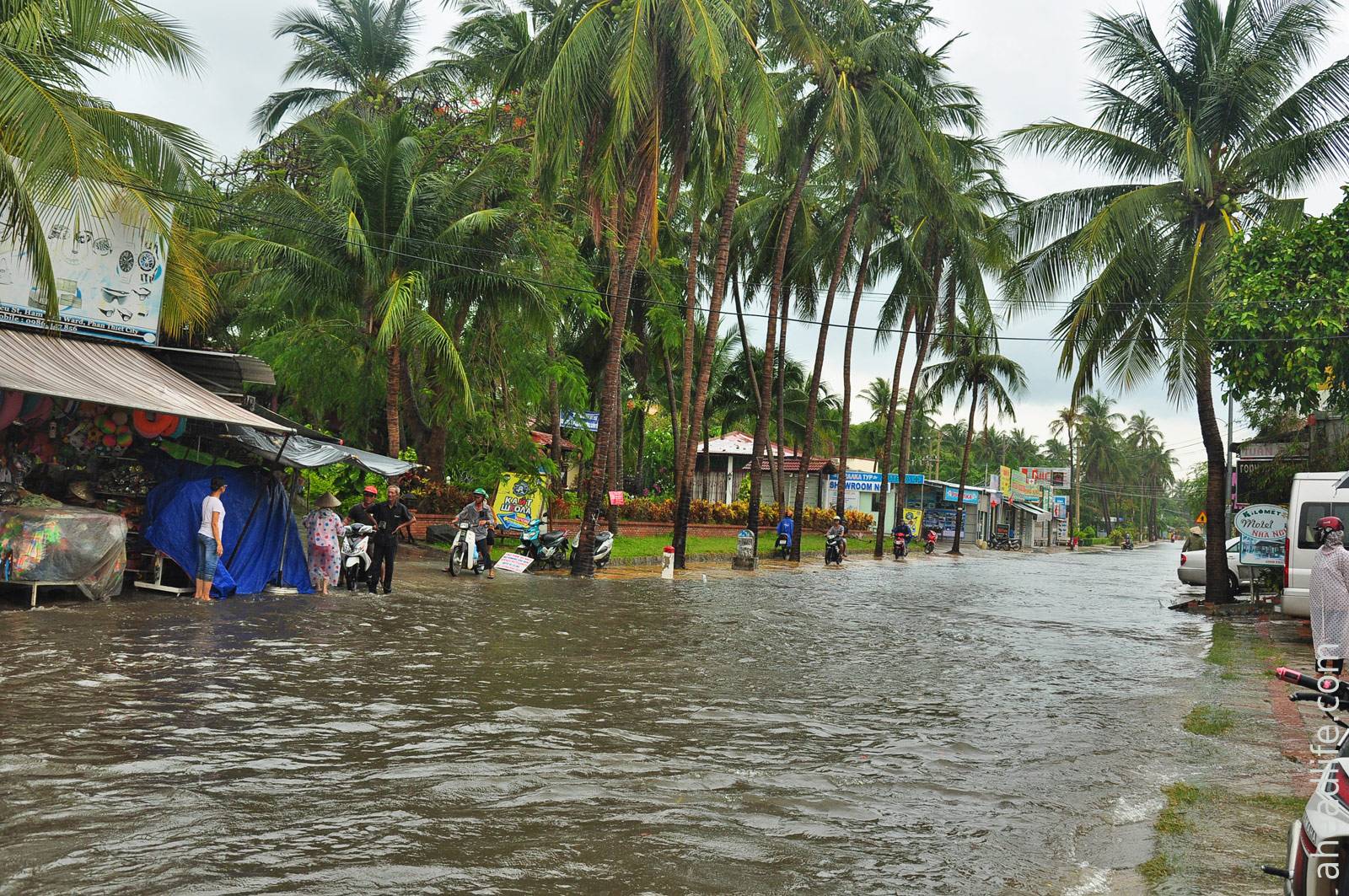Когда начинается и заканчивается сезон дождей во вьетнаме