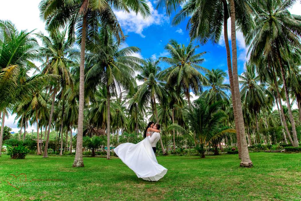 Свадьба в таиланде на острове самуи: возможности, затраты и советы