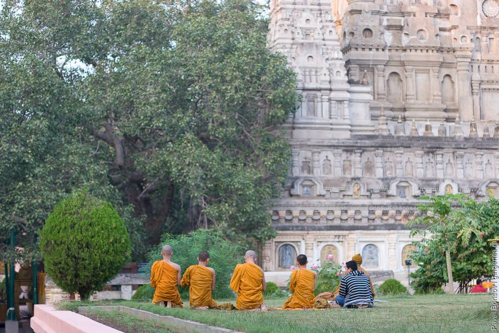 Что буддисту делать в индии?