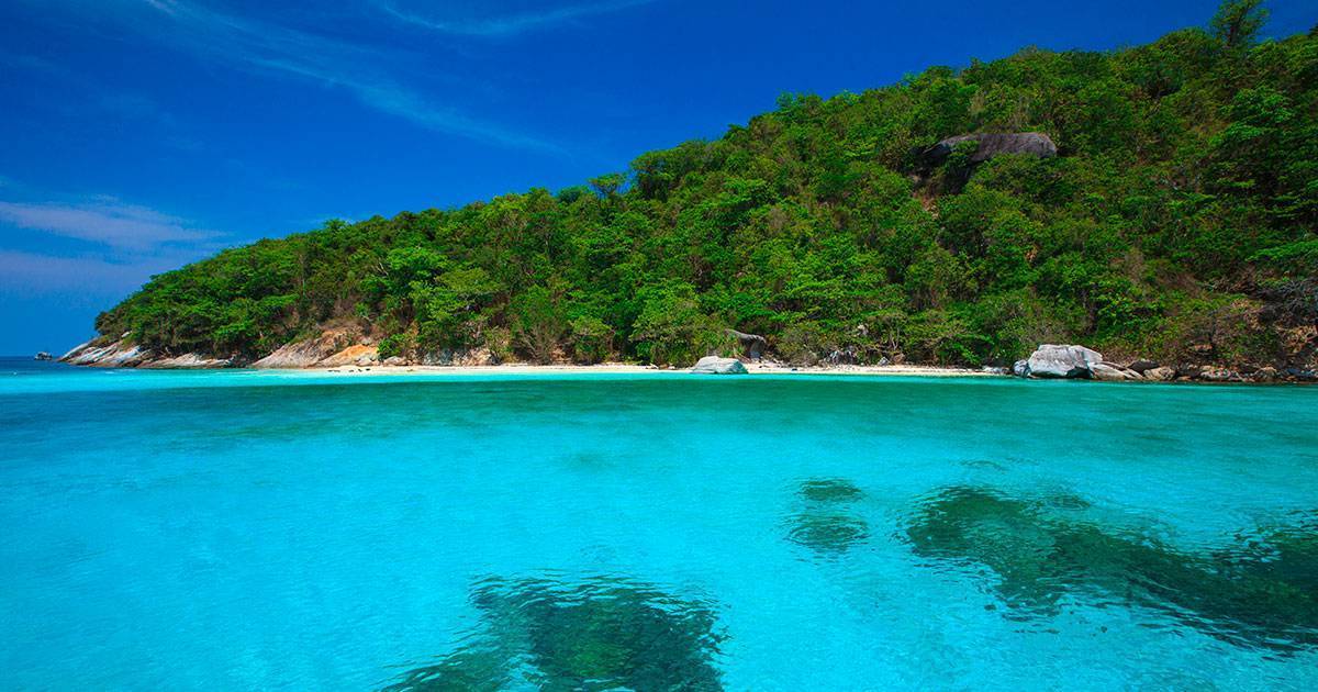 Остров рача (raya island). экскурсия с пхукета на тропический пляж