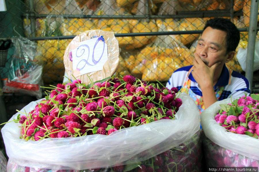 Сколько стоит невеста в таиланде. часть 2-я
