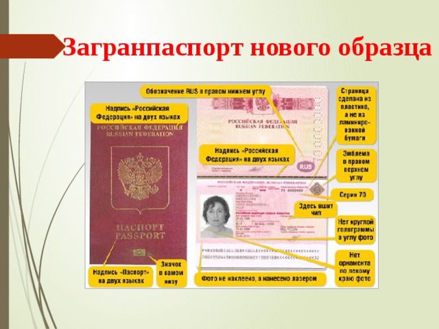 Когда будут выдавать загранпаспорта на 10 лет в 2023 году - последние новости на сегодня