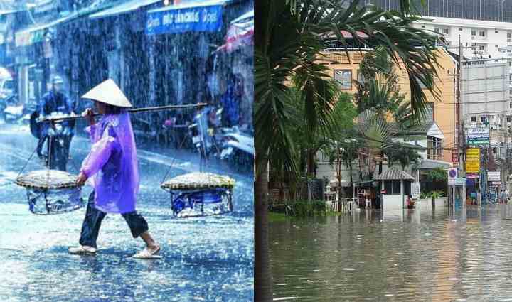 Сезон дождей во вьетнаме ????: можно ли покупать туры ????