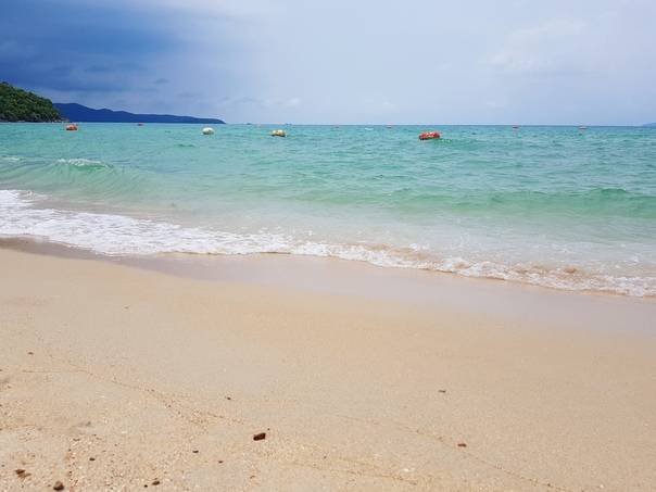 24 лучших места для дайвинга в тайланде: сезон, обитатели моря и безопасность - thailand-trip.org