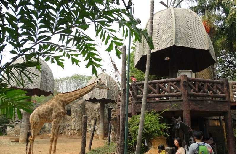 Зоопарк дусит в бангкоке