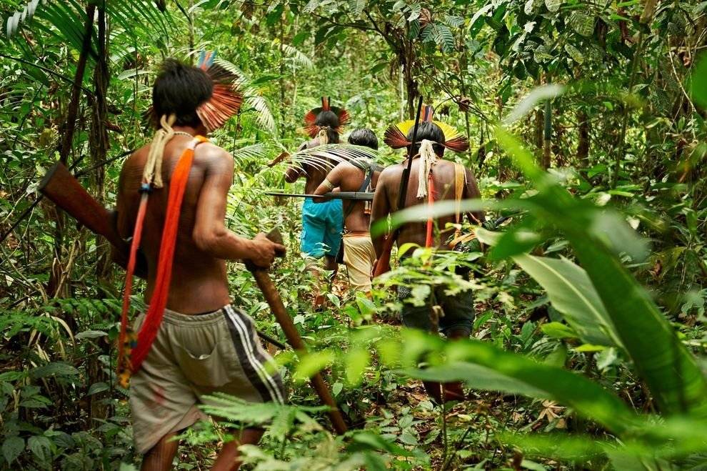 Остров борнео в малайзии: отдых, тропические леса калиманта