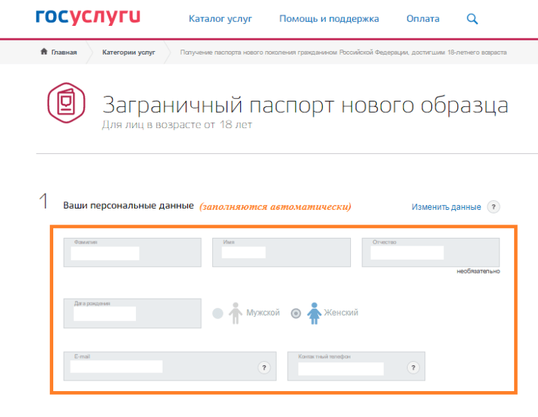 Можно ли сейчас получить загранпаспорт нового образца через госуслуги