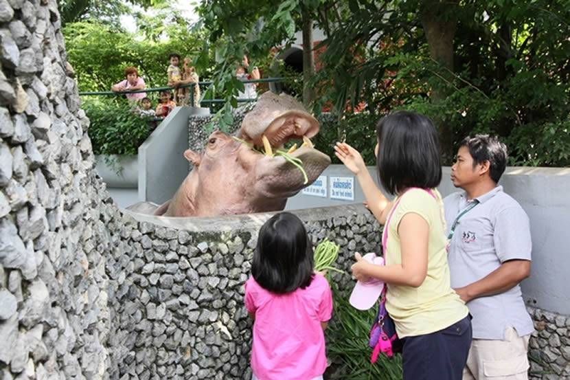 Зоопарк в бангкоке