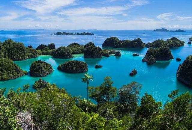 Остров комодо, индонезия | самостоятельные путешествия