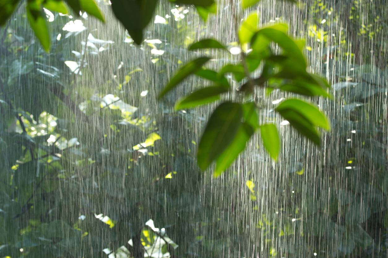 Стихи про дождик для детей: 65 лучших стихов про дождь