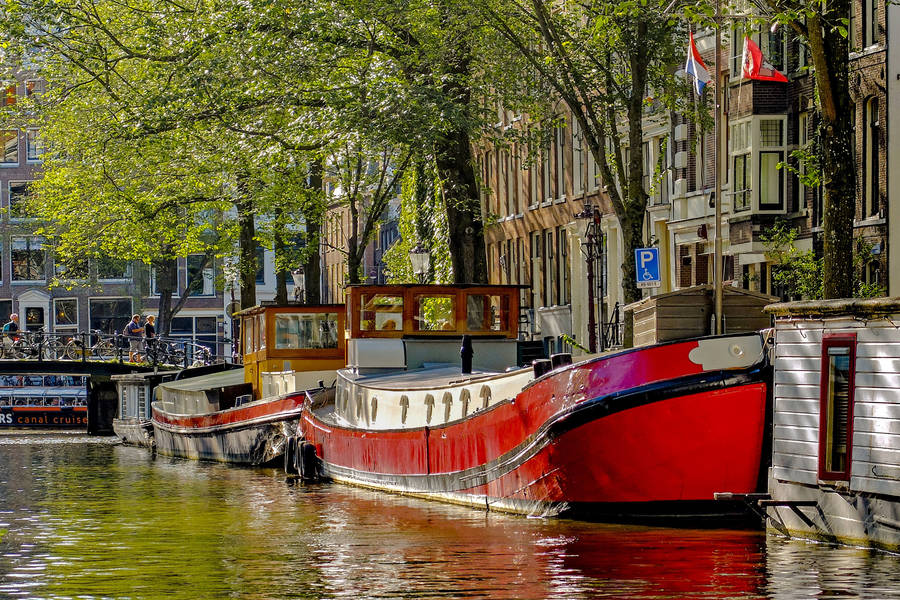 Где остановиться в амстердаме: лучшие и худшие районы