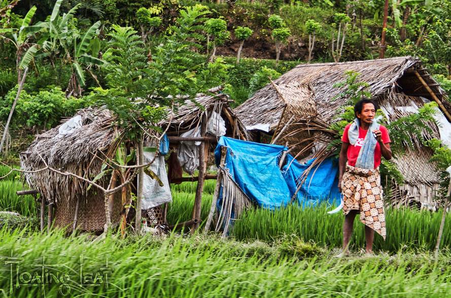 Как переехать жить на остров бали(в индонезию)