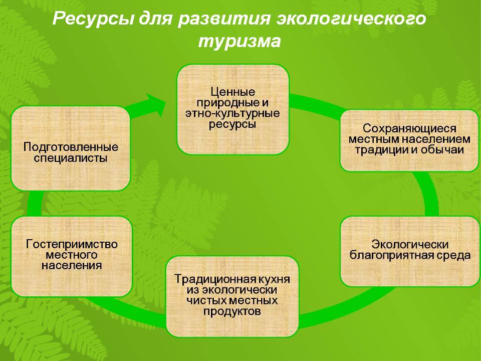 Экотуризм: почему он популярен и как правильно спланировать поездку