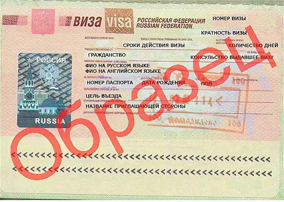 Visa российская. Номер визы в Россию. Российская виза. Российская виза образец.
