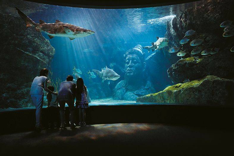 Океанариум в бангкоке sea life ocean world — рыбки и кормление акул