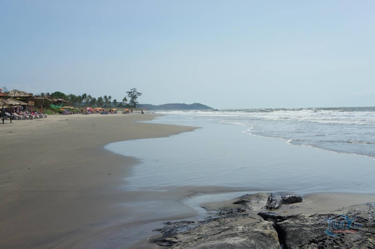 Мандрем пляж гоа отзывы и фото туристов — mandrem goa