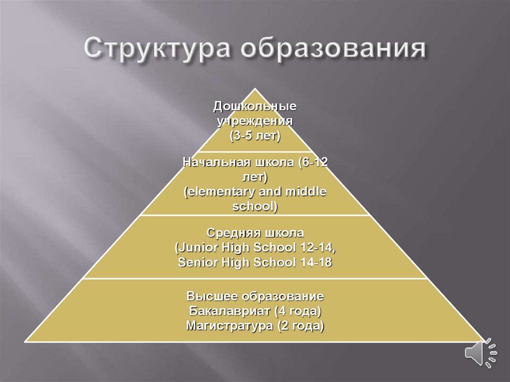 Американские школы схема