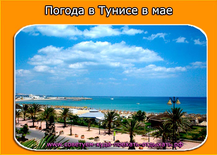 Погода в тунисе в октябре - отели "novostar hotels", тунис - официальный сайт