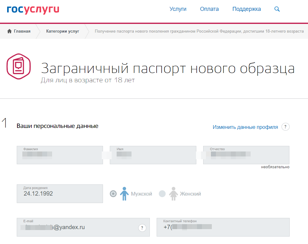 Как правильно заполнить заявление на загранпаспорт через госуслуги старого образца