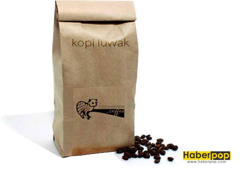 Копи лювак: самый дорогой кофе в мире из помета мусангов