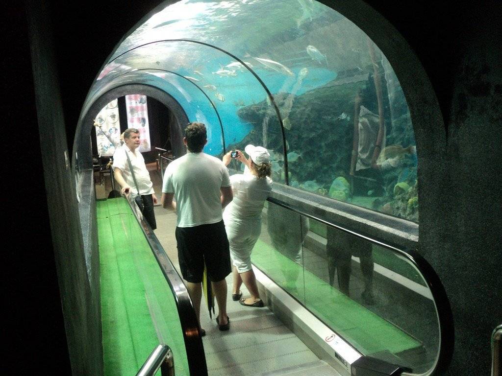 Экскурсия в океанариум aquaria phuket